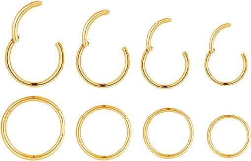 4Pairs/Pcs 18G Surgical Steel Hinged Clicker Segment Nose Rings Hoop Helix Cartilage Daith Tragus Sleeper Earrings Body Piercing for Women Men Girls 6mm 8mm 10mm 12mm