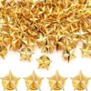 Fumete 100 Pcs Star Pins Bulk Star Badge Lapel Pins Star Brooches for Labor Day Veterans Day Memorial Day Party Costume Decor