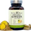 Herbal Roots Ginger Supplement | Organic Ginger Root Capsules | 1,200 mg of Pure Ginger Powder per Serving | 60 Vegan Capsules