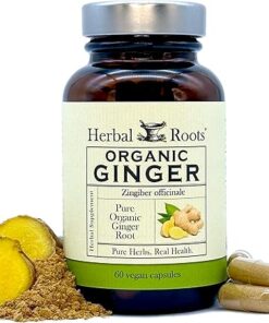 Herbal Roots Ginger Supplement | Organic Ginger Root Capsules | 1,200 mg of Pure Ginger Powder per Serving | 60 Vegan Capsules