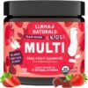 Llama Naturals Real Fruit Gummy Vitamins for Kids, No Added Sugar Cane, Beta Carotenes, Whole Food Multivitamin, Vegan Toddler Gummies, Plant Based, Organic, Chewable 90 ct...