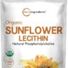 Micro Ingredients Organic Sunflower Lecithin Powder, 1 Pound, Sustainable Farmed, Cold Pressed, Rich in Phosphatidyl Choline and Protein, Making Liposomal Vitamin C, Lactation...