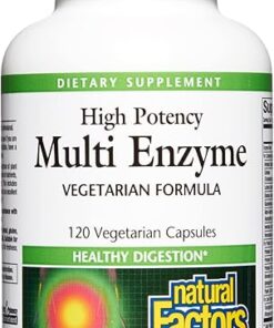 Natural Factors, High Potency Multi Enzyme Vegetarian Formula, Plant-Based Digestive Aid, 120 Capsules