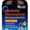 NATURE TARGET Glucosamine Chondroitin MSM, Joint Support Supplement, Shellfish Free, Turmeric Boswellia, Hyaluronic Acid, Collagen, Calium for Cartilage and Bone Health,120...