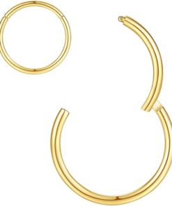 ORANGELOVE Hypoallergenic Nose Rings 20G 18G 16G 14G 12G 10G 8G 316l Surgical Steel Septum Jewelry Hinged Segment Ring Body Piercing Nose Hoop Lip Rings Nose Helix Cartilage...