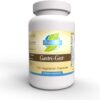 Priority One Vitamins Gastri Gest 120 Vegetarian Capsules - powerful combination of plant enzymes That help maintain healthy digestion and intestinal enzyme activity.*