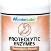 Proteolytic Enzymes | Bromelain Papain Pancreatin Trypsin 550 mg Total with Standardized Amylase, Lipase, and Protease, 100 tablets