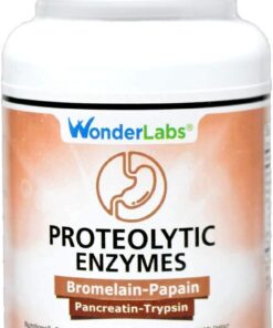 Proteolytic Enzymes | Bromelain Papain Pancreatin Trypsin 550 mg Total with Standardized Amylase, Lipase, and Protease, 100 tablets