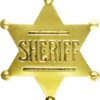 Sheriff Badges Deputy Children's Sheriff Badge Brooch Western Toy Sheriff Badge Brooch for Adults Boys Girls Party Costume Play Props D1-LJXHZ