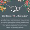 Sister Gifts, Sterling Silver Interlocking 2 Circles Necklace Gifts for Sisters, Big Sister Little Sister Gift, Sister Birthday Gifts from Sister