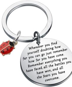 TIIMG Ladybug Inspirational Keychain Ladybug Lover Gifts Good Luck Gifts For Friend Best Friend