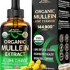 USDA Organic Mullein Drops for Lungs - Mullein Leaf & Licorice Extract Supplement - Made in USA - Lung & Bronchial Cleanse for Smokers - Respiratory Health Support - As Liquid,...