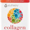 Youtheory Collagen Plus Biotin, 390 Tablets