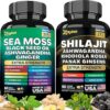 Zoyava Dynamic Vitality Bundle, Sea Moss and Shilajit Bundle, Sea Moss 7000mg, Black Seed Oil 4000mg, Ashwagandha 2000mg, Ginger & Shilajit 9000mg, Rhodiola Rosea 1000mg, Panax...